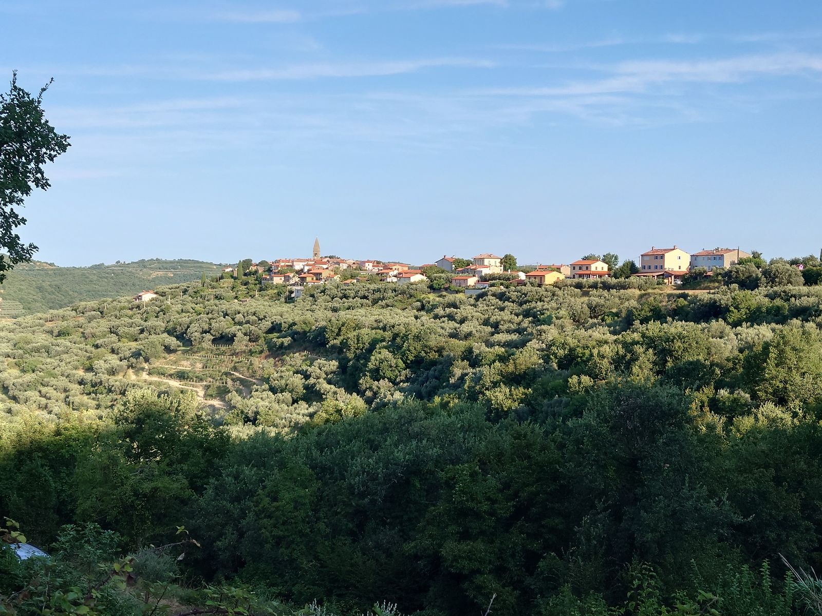 Pogled na vasico Padna v istrskem podeželju